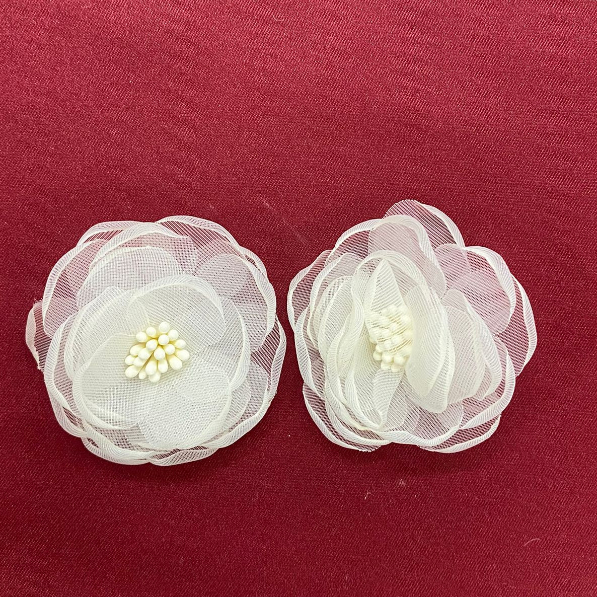 |White petal flower patches | white | cute and aesthetic | yellow buds | delicate white | petals |